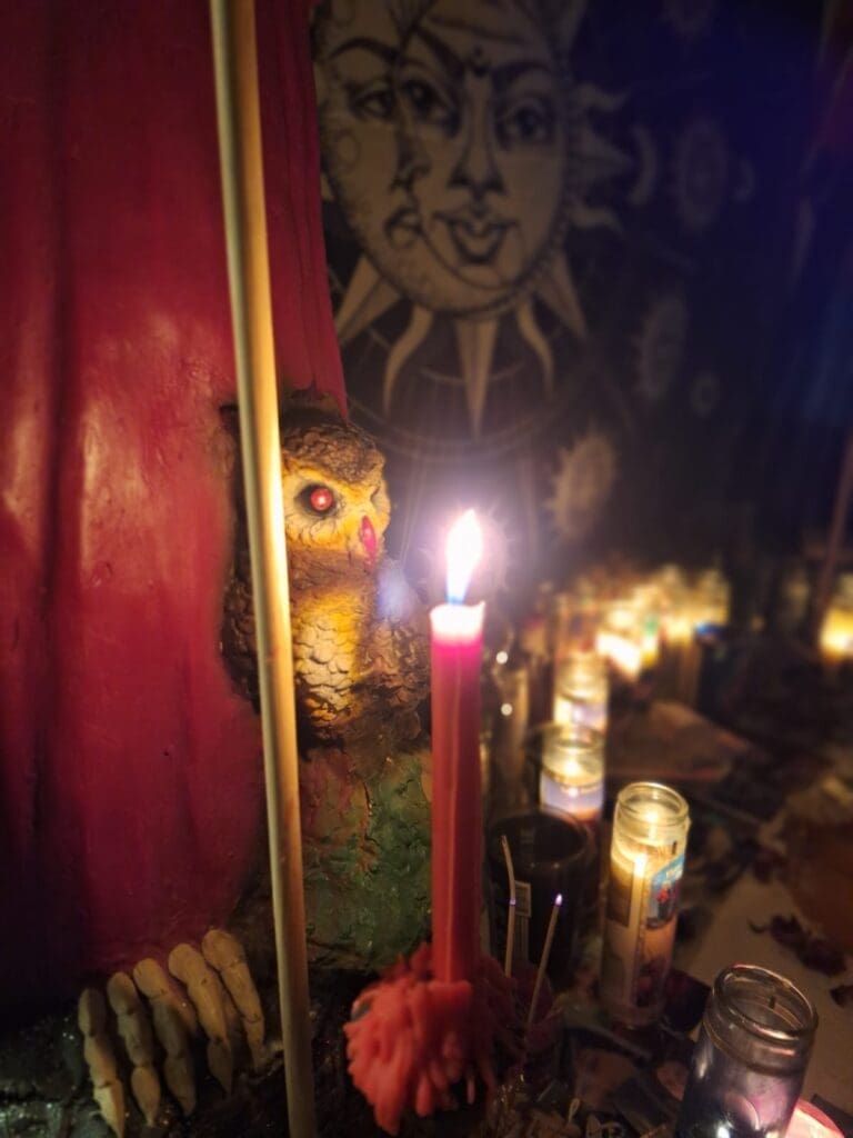 magia blanca hammond, in in botanica amarre amazonico.jpg